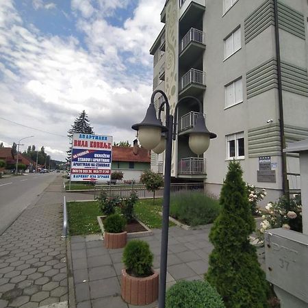 Apartmani - Vila Kovilje Banja Koviljaca Bagian luar foto