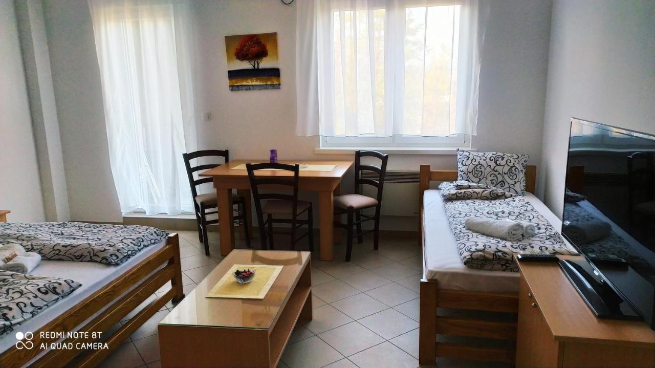 Apartmani - Vila Kovilje Banja Koviljaca Bagian luar foto