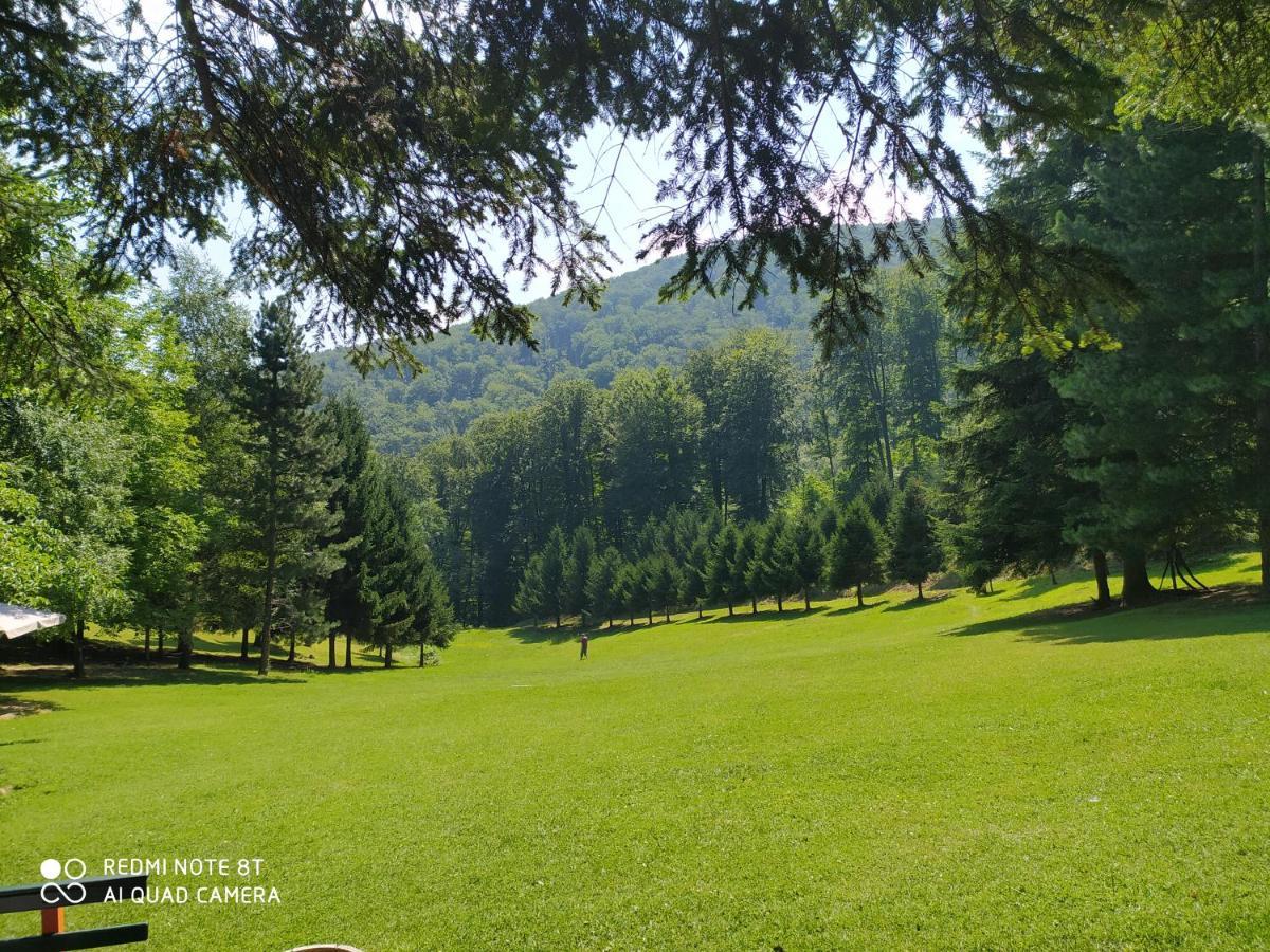 Apartmani - Vila Kovilje Banja Koviljaca Bagian luar foto