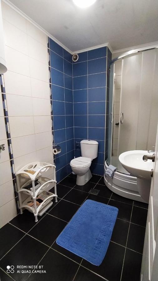 Apartmani - Vila Kovilje Banja Koviljaca Bagian luar foto