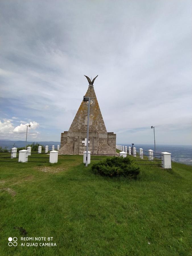 Apartmani - Vila Kovilje Banja Koviljaca Bagian luar foto