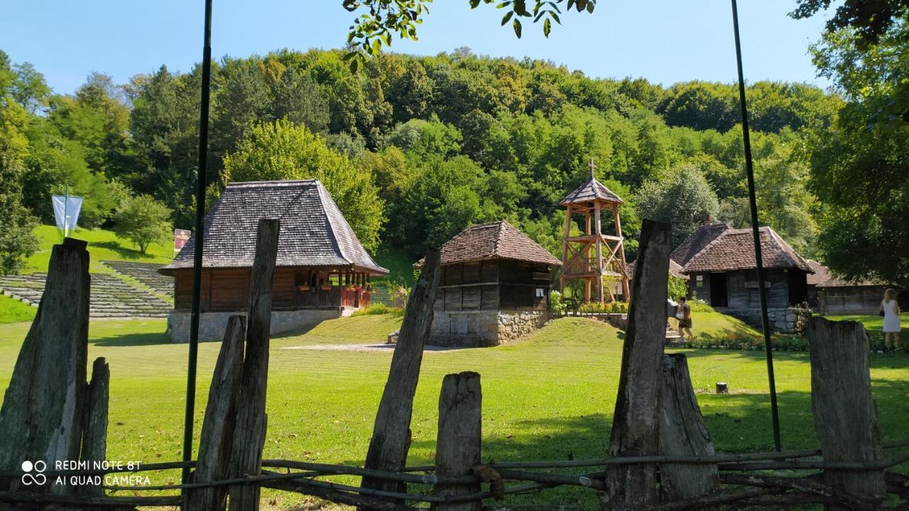 Apartmani - Vila Kovilje Banja Koviljaca Bagian luar foto