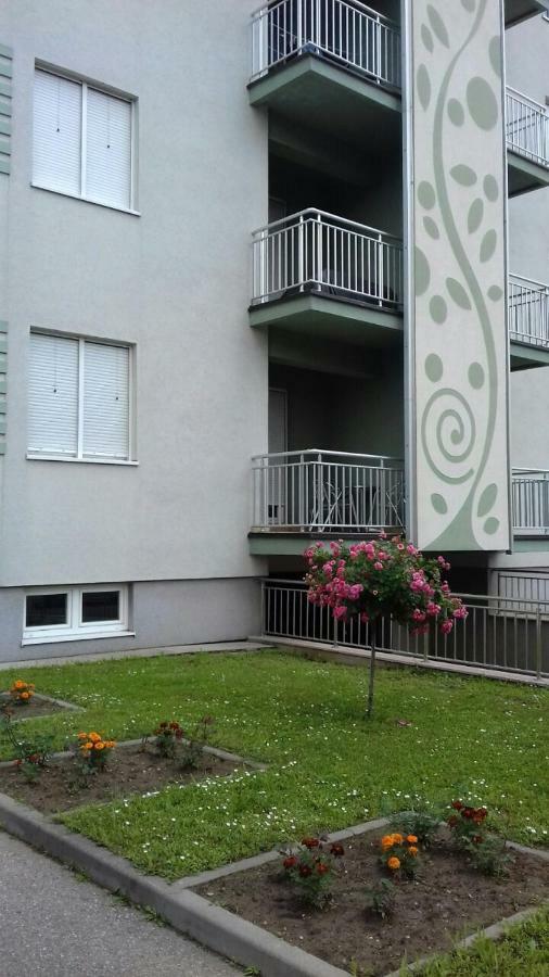 Apartmani - Vila Kovilje Banja Koviljaca Bagian luar foto