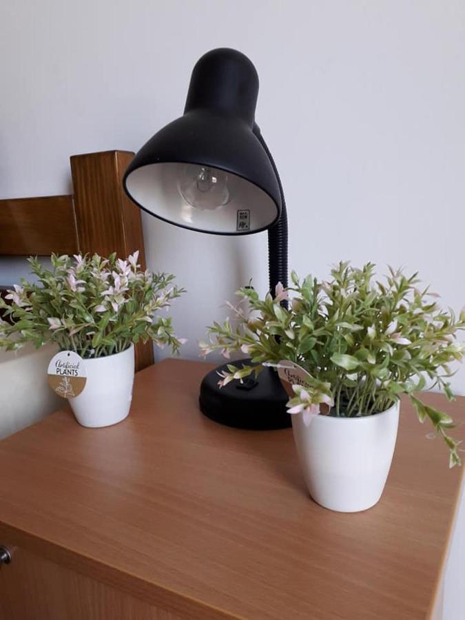 Apartmani - Vila Kovilje Banja Koviljaca Bagian luar foto